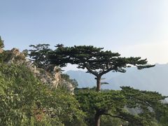 -圣莲山风景区
