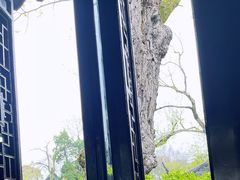 -拙政园