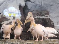 -杭州长乔极地海洋公园