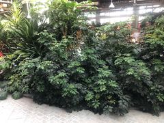 -红栌温泉山庄生态美食餐厅