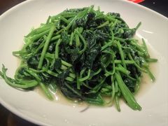 红薯叶-魏铭鱼头捞饭(晋阳路店)