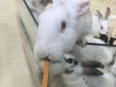 -大连圣亚海洋世界