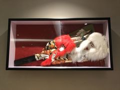 -彩葉·樱花屋日本料理(动物园店)
