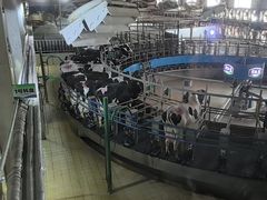 -君乐宝优致牧场