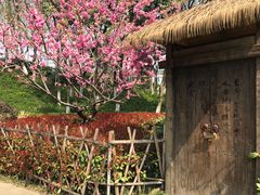 -圩墩遗址公园