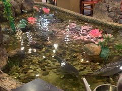 -丰圆轩粤式茶楼 . 点心粤菜(夏茅店)