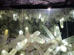 -湖南省地质博物馆