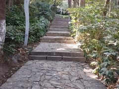 -云龙山