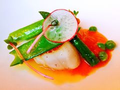 -蝶舍·MAISON PAPILLON