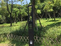 -飞凤山奥体公园