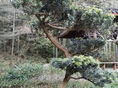 -杭州植物园