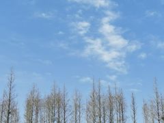 -青岛第三海水浴场