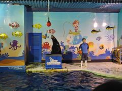 -太平洋海底世界