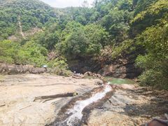 -广州白江湖森林公园