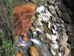 -鹿院坪生态旅游景区