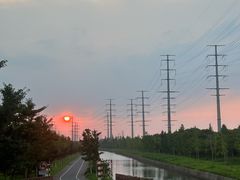 -上海长兴岛郊野公园