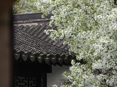 -莫愁湖公园