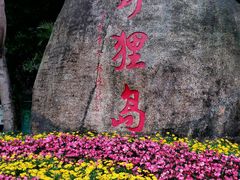 -野狸岛