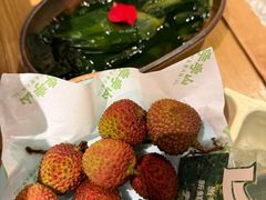-季季山·云南野生菌火锅(上海首店)