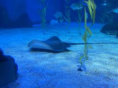 -常州海昌海洋探索馆