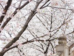 -苏州上方山国家森林公园