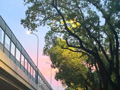 -上海仁爱医院口腔科 · 种植