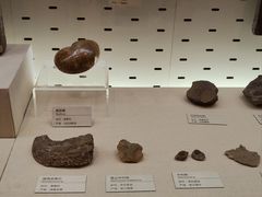 -浙江自然博物院(杭州馆)