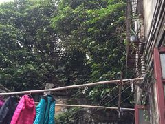 -许地士多