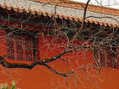 -昆明动物园