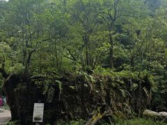 -西岭雪山大飞水景区