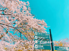 -井之头恩赐公园