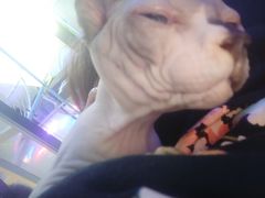 -极木²邸 人与宠物·互动社区