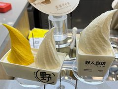 -野人先生现做冰淇淋(北京悠唐购物中心店)