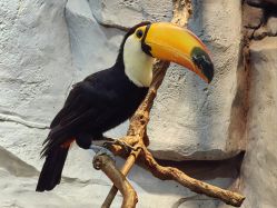 -Zoolung Zoolung动物主题公园(海信广场店)