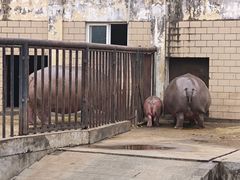 -合肥野生动物园