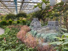 -南宫五洲植物乐园