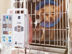-康成宠物医院24H·CT·核磁共振