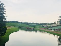 -迪茵湖田家舍生态农场