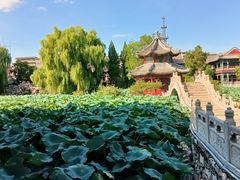 -莲池书院博物馆