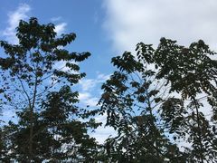 -三岔湖环球融创天堂洲际酒店水乐园