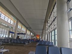 -上海浦东国际机场-T2航站楼