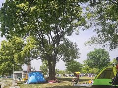 -上海月湖雕塑公园