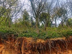 -平湖九龙山旅游度假区