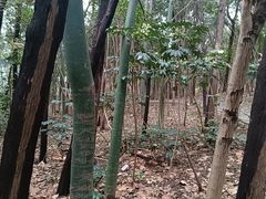 -云龙山