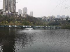 -重庆彩云湖湿地公园