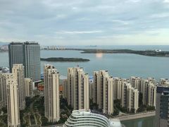 -柴犬小屋·柴餐厅·狗咖食堂(金鼎广场店)