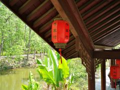 -合肥滨湖国家森林公园