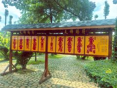 -江西龙虎山景区
