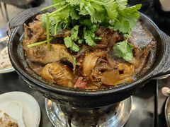 麻辣鲶鱼煲-川香煲(茅台路店)