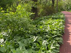 -长春市南湖公园